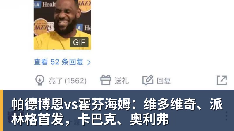 帕德博恩vs霍芬海姆：维多维奇、派林格首发，卡巴克、奥利弗