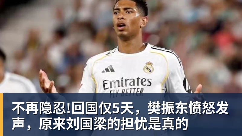 不再隐忍!回国仅5天，樊振东愤怒发声，原来刘国梁的担忧是真的